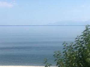 Sea Sound