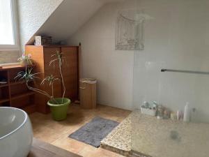 Center house with swimming pool