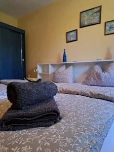 Guest House Ceric - Vlasinje