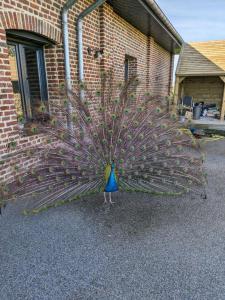 Chambre d hotes le pigeonnier