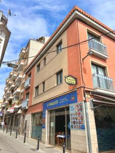 Oliva Studio 203 New 2024