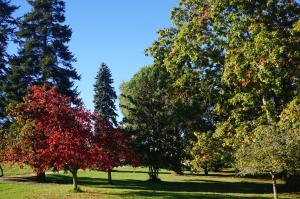 B&B / Chambres d'hotes le Bosc de castang : photos des chambres