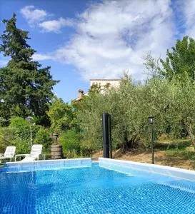 B&B Il Poggetto - Borsecchio