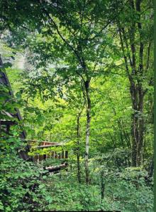 Boshuisje Durbuy Nr6