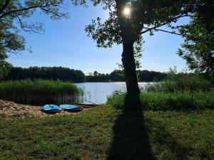 Siedlisko Kromienice