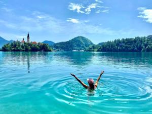 Riverdance with mountain view, garden and private parking