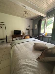 B&B / Chambres d'hotes Domaine Pierrot : photos des chambres