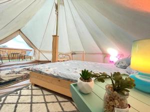 Glamping Agapia Agapescu