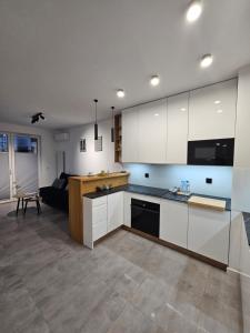 Apartament Centralna Park