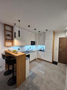 Apartament Centralna Park