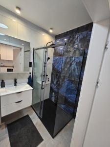 Apartament Centralna Park