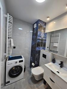 Apartament Centralna Park