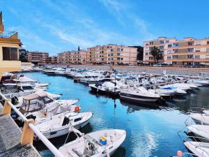 Studio Les pieds dans leau