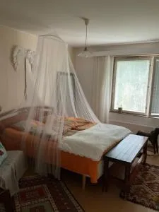 Kodikas makuuhuone yhteiskäytössä olevasta huoneistosta Tampere Kaleva - Petsamo