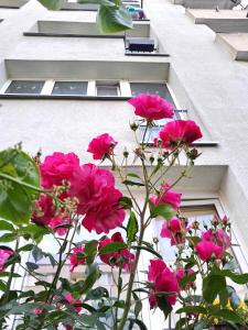 Apartament u Krysi Świnoujście ul Rybaki 19 centrum miasta