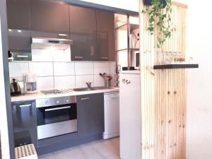 Appartements Studio cosy a Saint-Lary-Soulan – 4 pers, balcon, parking, skis - FR-1-457-342 : photos des chambres