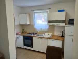 Apartments and rooms Camelia
