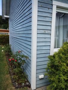 Domki letniskowe Aneta