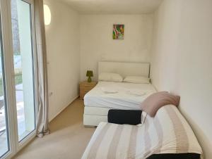 Apartments and rooms Camelia 