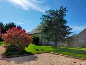 Maisons de vacances Gite 6 P au coeur des vignobles : photos des chambres