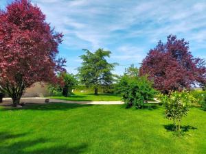 Maisons de vacances Gite 6 P au coeur des vignobles : photos des chambres