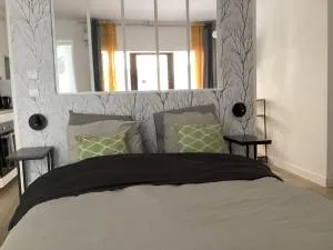 A3 Bel appartement lumineux au Rdc - Fontanières