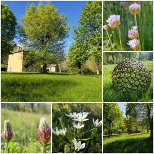 Lou Prat - Jontanels