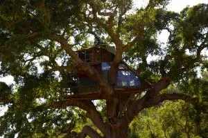 Tree house da Lage - Carrasqueira