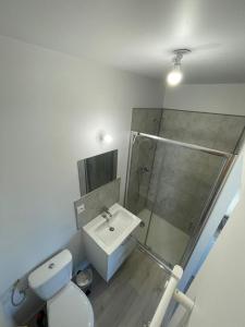 Appartements Castres maisonnette proche du centre ville, parking et jardin : photos des chambres