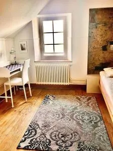 Zurich - Zentral am See Einzelzimmer - 朗瑙