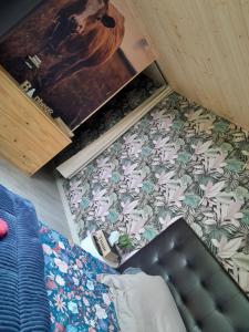 Tentes de luxe amazonia : photos des chambres