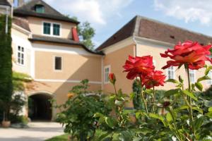 Schloss Schrattenthal