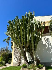 El Rincon Vera Costa