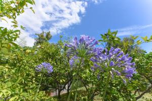 Apartment Jelena, Opatija - Lovran