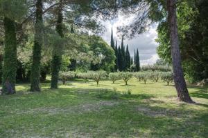 Villas Mas du Grand Chene : photos des chambres