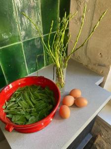 Villas Mas du Grand Chene : photos des chambres