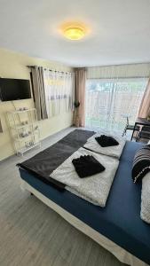 Chloraka Bay Studio