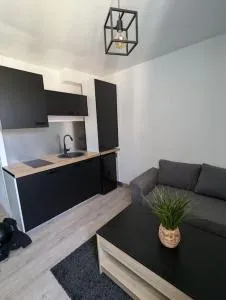 Studio-centre-ville - 圣布里文莱丝皮恩