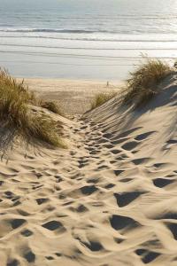 Appartements JOLIE CABANE BOIS SOUS LES CHENES Hourtin bourg : photos des chambres