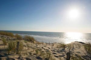 Appartements JOLIE CABANE BOIS SOUS LES CHENES Hourtin bourg : photos des chambres