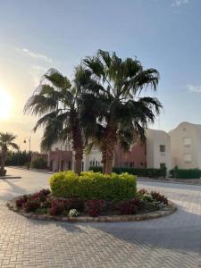 Makkadi Orascom Chalet