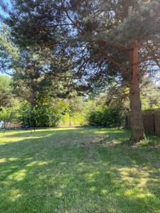 Domek Wypoczynkowy Progresyw