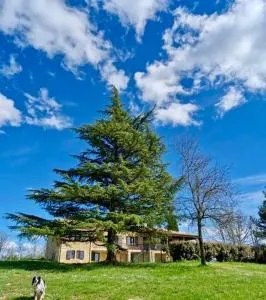 Les Hauts de Courrech - 圣马特