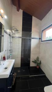 Twin Pines Camino Norte