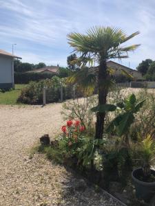 Appartements Les logis d'argent Studio independant Parking Entree autonome Linge de Lit et Serviettes Wifi fibre TV connectee : photos des chambres