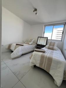 Oasis Urbano Premium