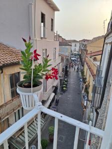 Appartamento degli Dei