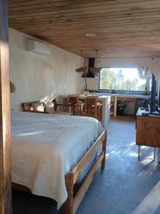 Cabaña Peumo by Alto Curanipe