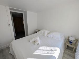 Maison cozy proche des plages - Animaux acceptés !