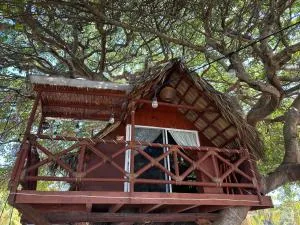 Casa del Árbol Barra la Saladita - Lázaro Cárdenas